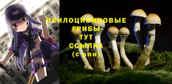 мефедрон мука Медногорск
