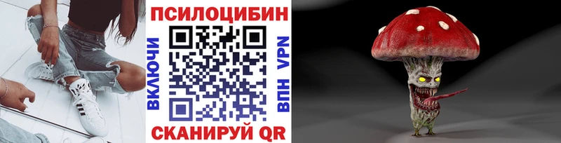Псилоцибиновые грибы Psilocybe  Салават 