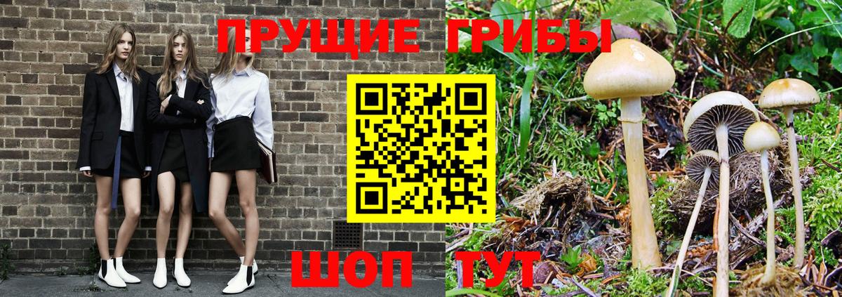 Галлюциногенные грибы Cubensis Салават