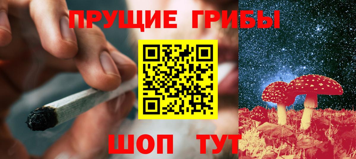 Галлюциногенные грибы Psilocybe Салават